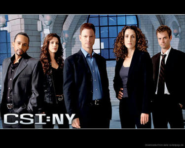 CSI-NY-tori.jpg