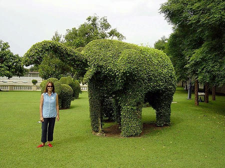 800px-Topiary-Ayutthaya.jpg