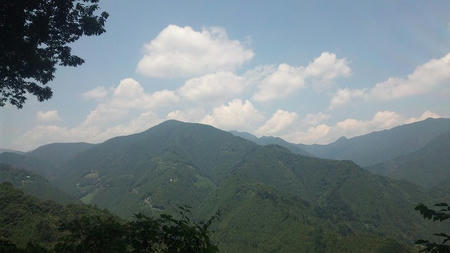 DVC00367.jpg