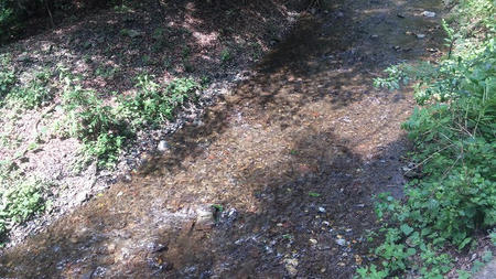 DVC00424.jpg