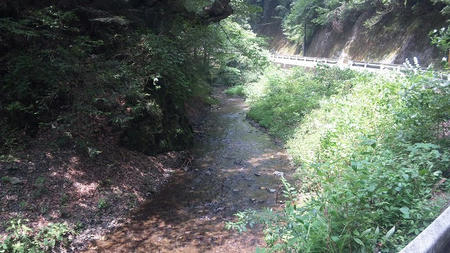 DVC00423.jpg