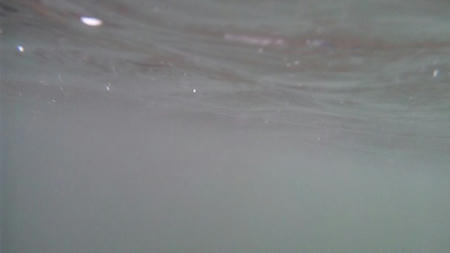 DVC00414.jpg