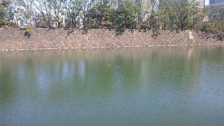 DVC00748.jpg