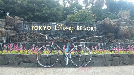 DVC00796.jpg