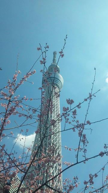 DVC00877_edit.jpg