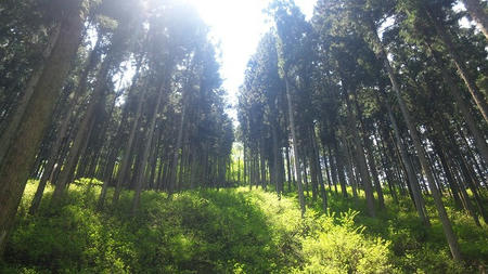 DVC00118.jpg