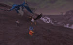0ff7049d.jpg