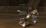 bee0bb52.jpg