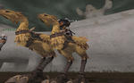 5f8d57ab.jpg