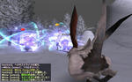 fe2a1000.jpg
