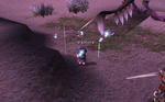 44186dcc.jpg