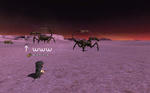 img_20111129_001221.jpg