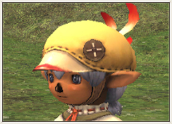 ChocoboBeret.jpg