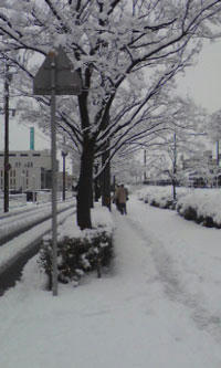 snow.jpg