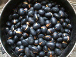 beans03.jpg