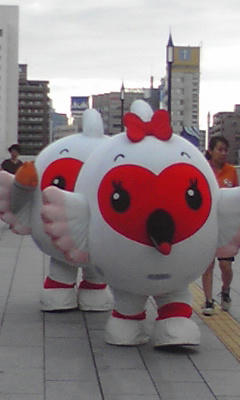 24906940.jpg