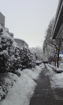 091217_0951~01.jpg
