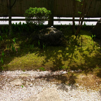 20100505_01.jpg