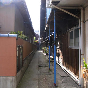 20100505_04.jpg