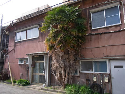 20100505_06.jpg