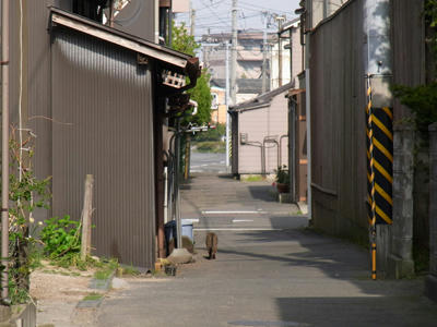 20100505_07.jpg