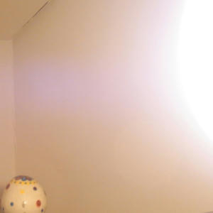 bulb.jpg