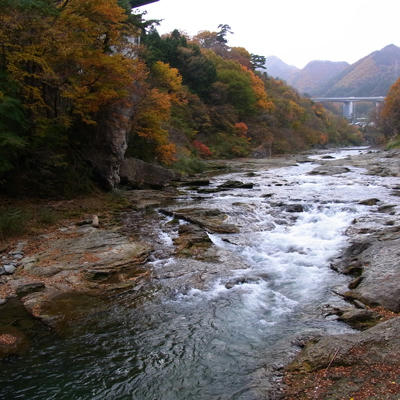 20101113_05.jpg