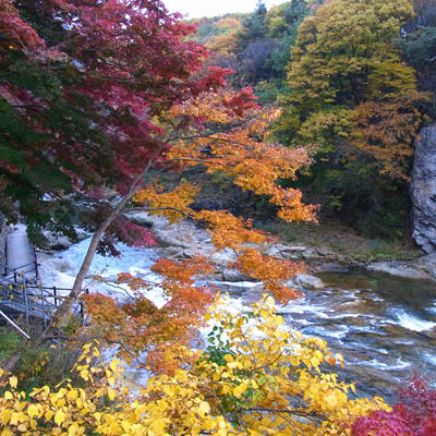 20101113_06.jpg