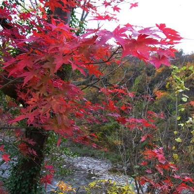 20101113_08.jpg