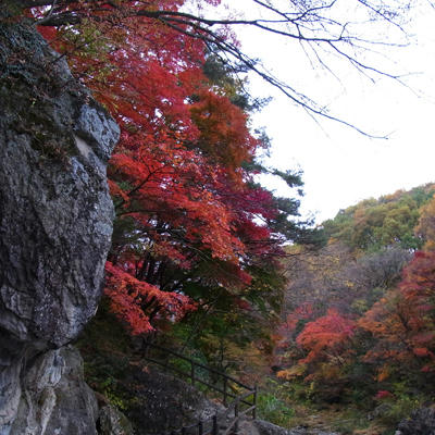 20101113_09.jpg