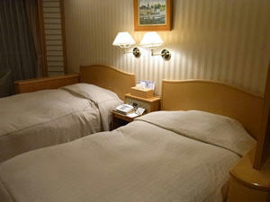 2011senami03.jpg