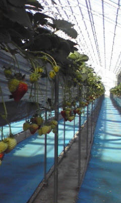 20110327.jpg