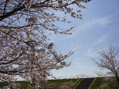 20110417_01.jpg