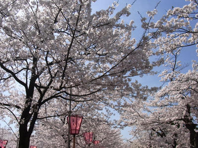 20110417_02.jpg