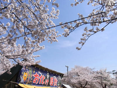 20110417_03.jpg