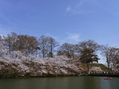 20110417_04.jpg