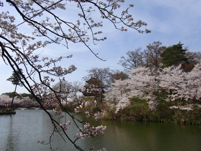 20110417_06.jpg
