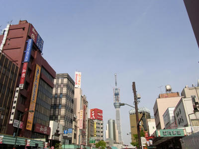 20110504_10.jpg