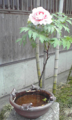 20110514_02.jpg