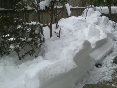 20120128.jpg