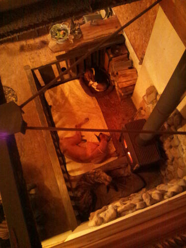 20120222.jpg