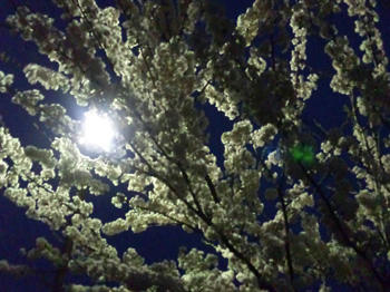 20120421.jpg