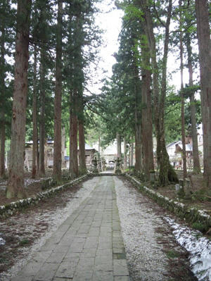 2012050304.jpg