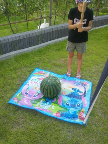 2012081902.jpg