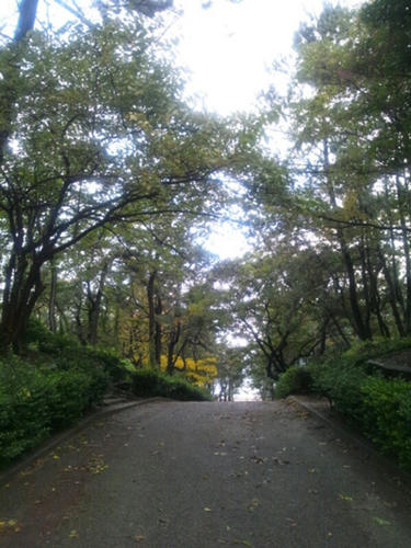 2012111001.jpg