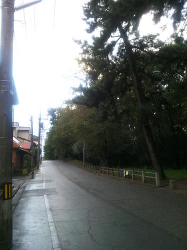 2012111002.jpg