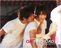 snapshot20080818235930.jpg