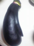 SBSH02101.jpg