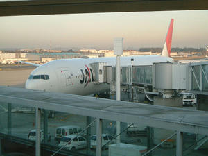 l164.jpg