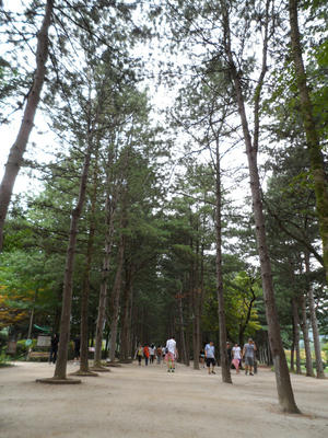 7501000seoul20120817-0823-05.jpg